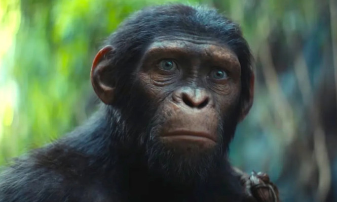 Planeta dos Macacos: O Reino ganha teaser trailer