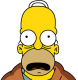 pvt.Homer